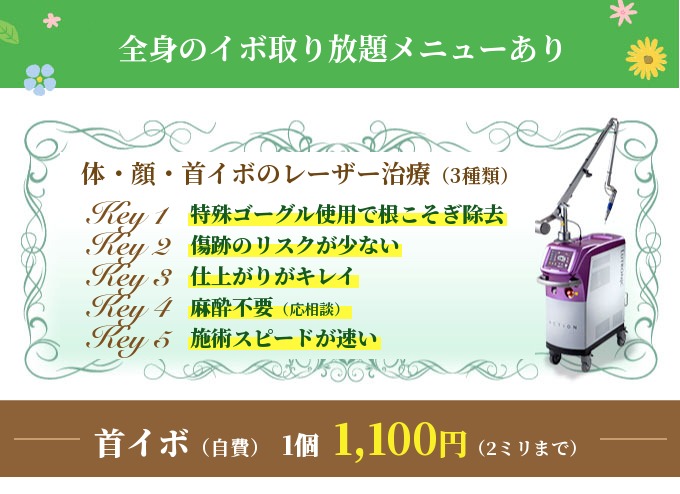 全身のイボ取り放題メニューあり 体・顔・首イボのレーザー治療(3種類) 首イボ(自費)1個1,100円(2ミリまで)